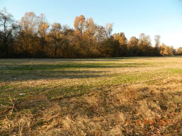 LOT 1 Dolan Rd - Photo 1