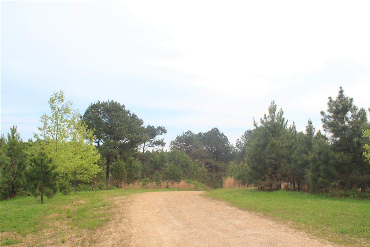 6300 Getwell Rd - Photo 1