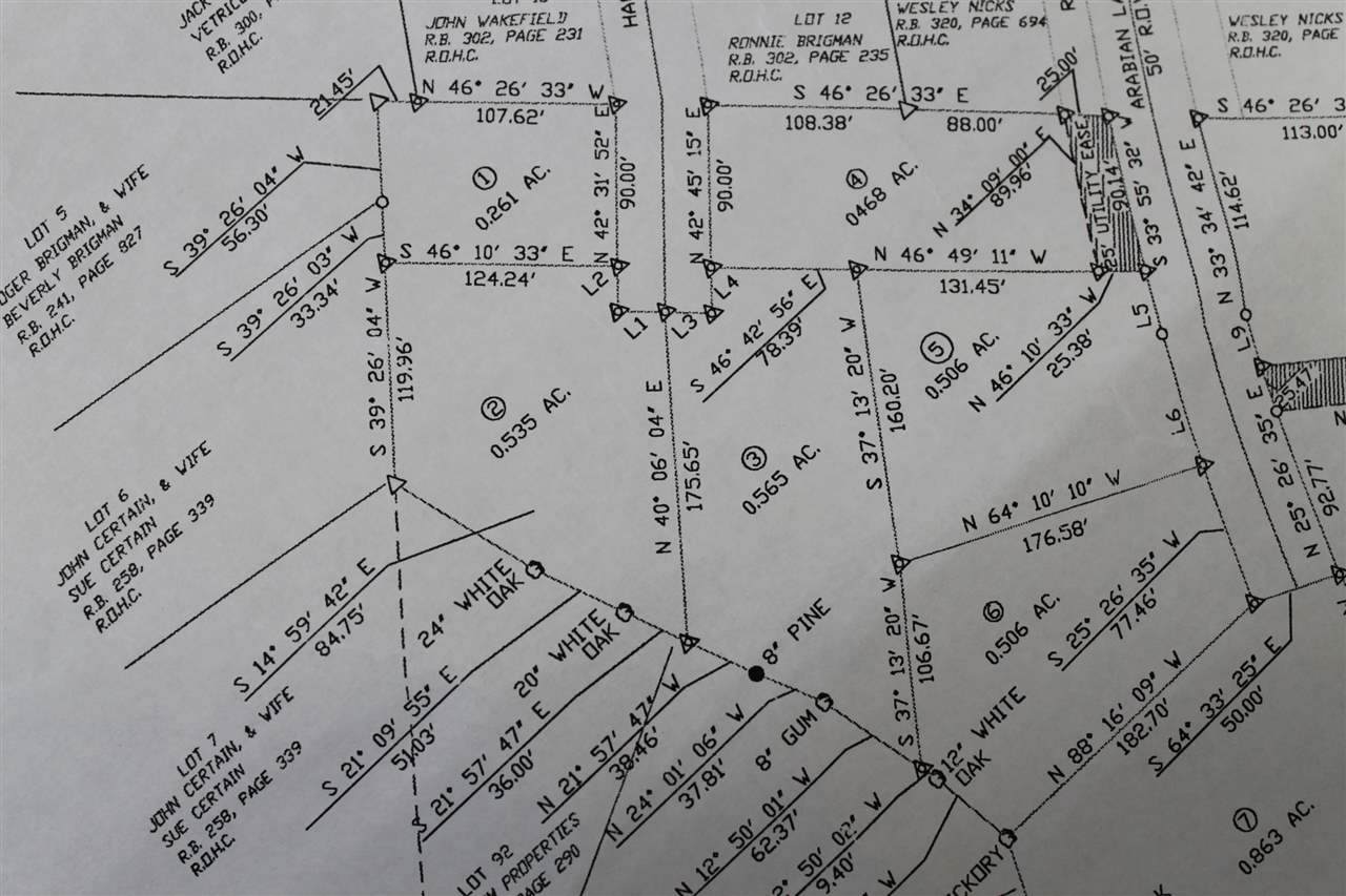 LOT 2 Hackney Ln - Photo 1