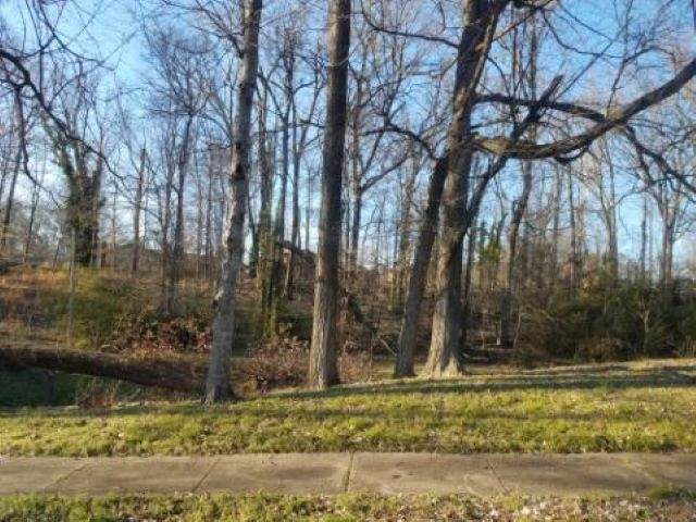 0 Annette Ln - Photo 1