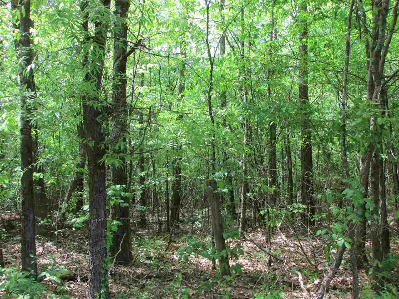 57 Hwy - Photo 1