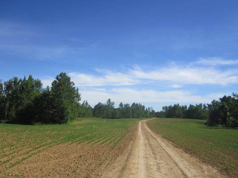 0 Dry Hill Rd - Photo 1