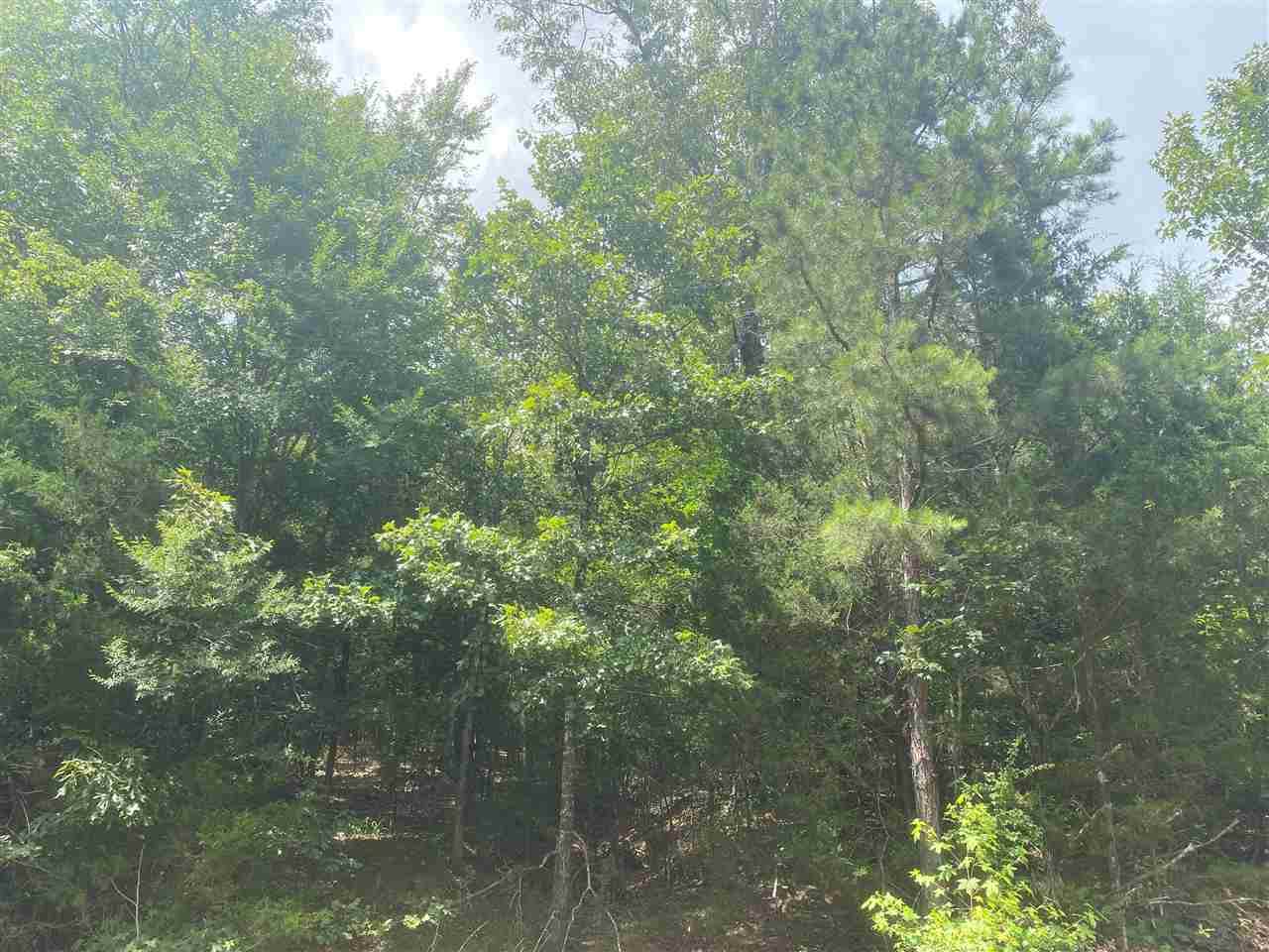 543 Cedar Cv - Photo 1