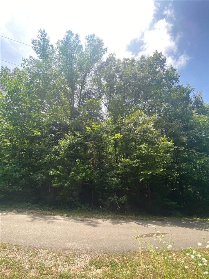1328 Indian Ln - Photo 1