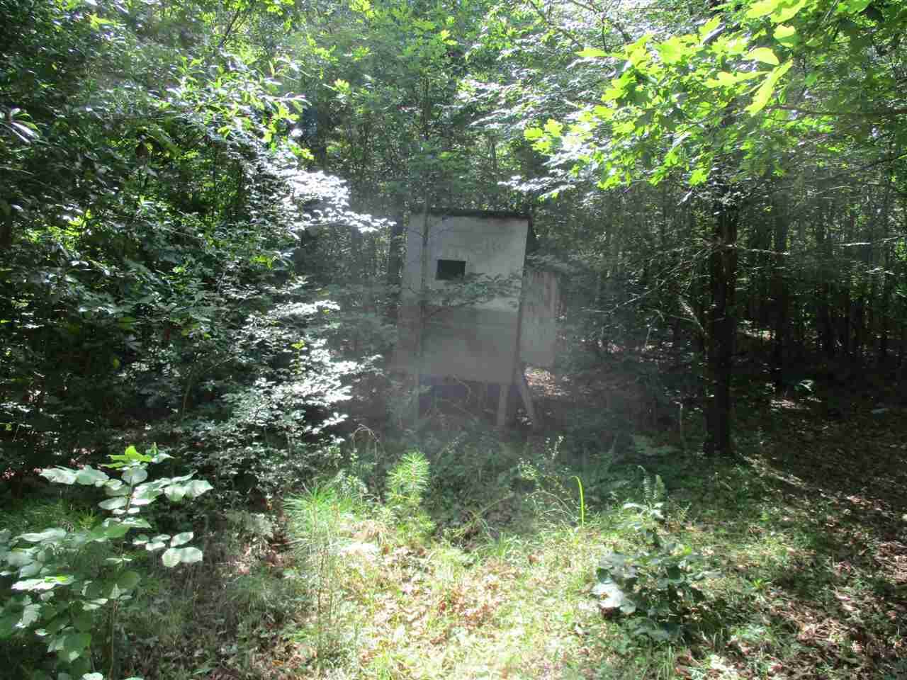 00 Essary Springs Rd - Photo 1