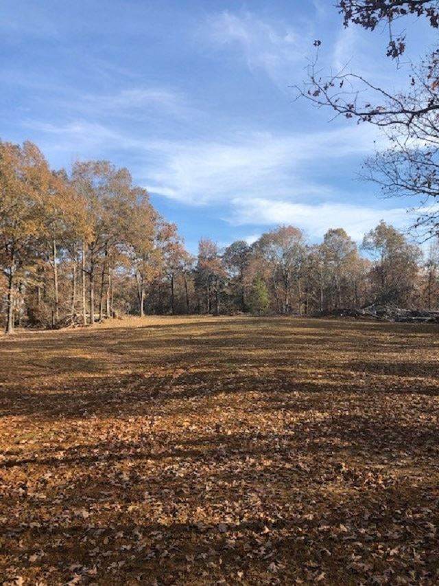 Jernigan Rd - Photo 1