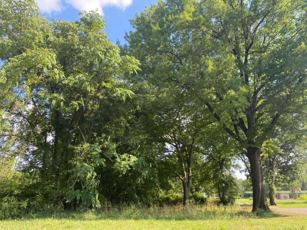777 Parkway St - Photo 1