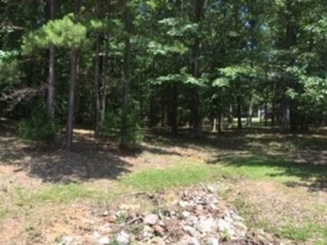 LOT 33 Driftwood Rd - Photo 1
