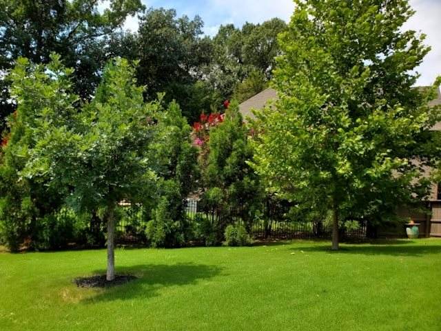 10207 Maple Run Dr - Photo 1