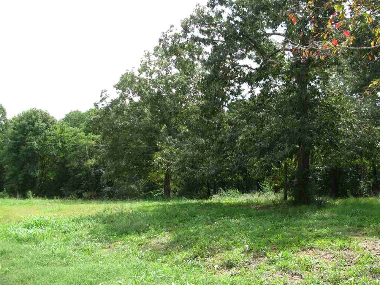 98 Dickey Rd - Photo 1