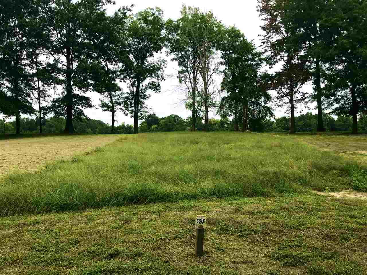 LOT 84 Prairie Land Dr Dr - Photo 1
