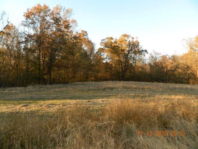 LOT 7 Dolan Rd - Photo 1