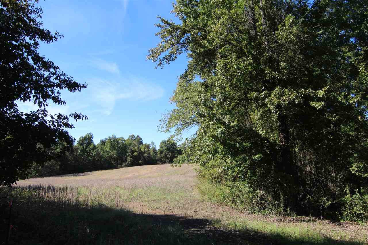 LOT 9 Dolan Rd - Photo 1