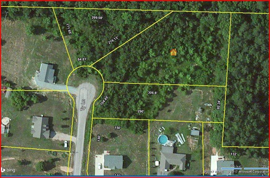 LOT #11 Ty Ln - Photo 1
