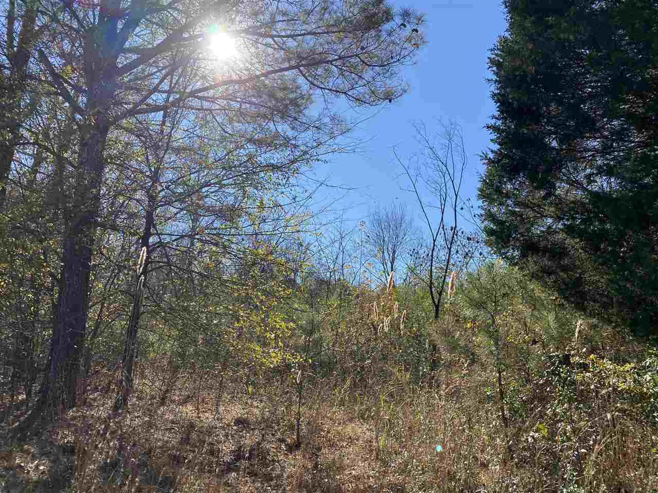 0 Hwy 69 Hwy - Photo 1
