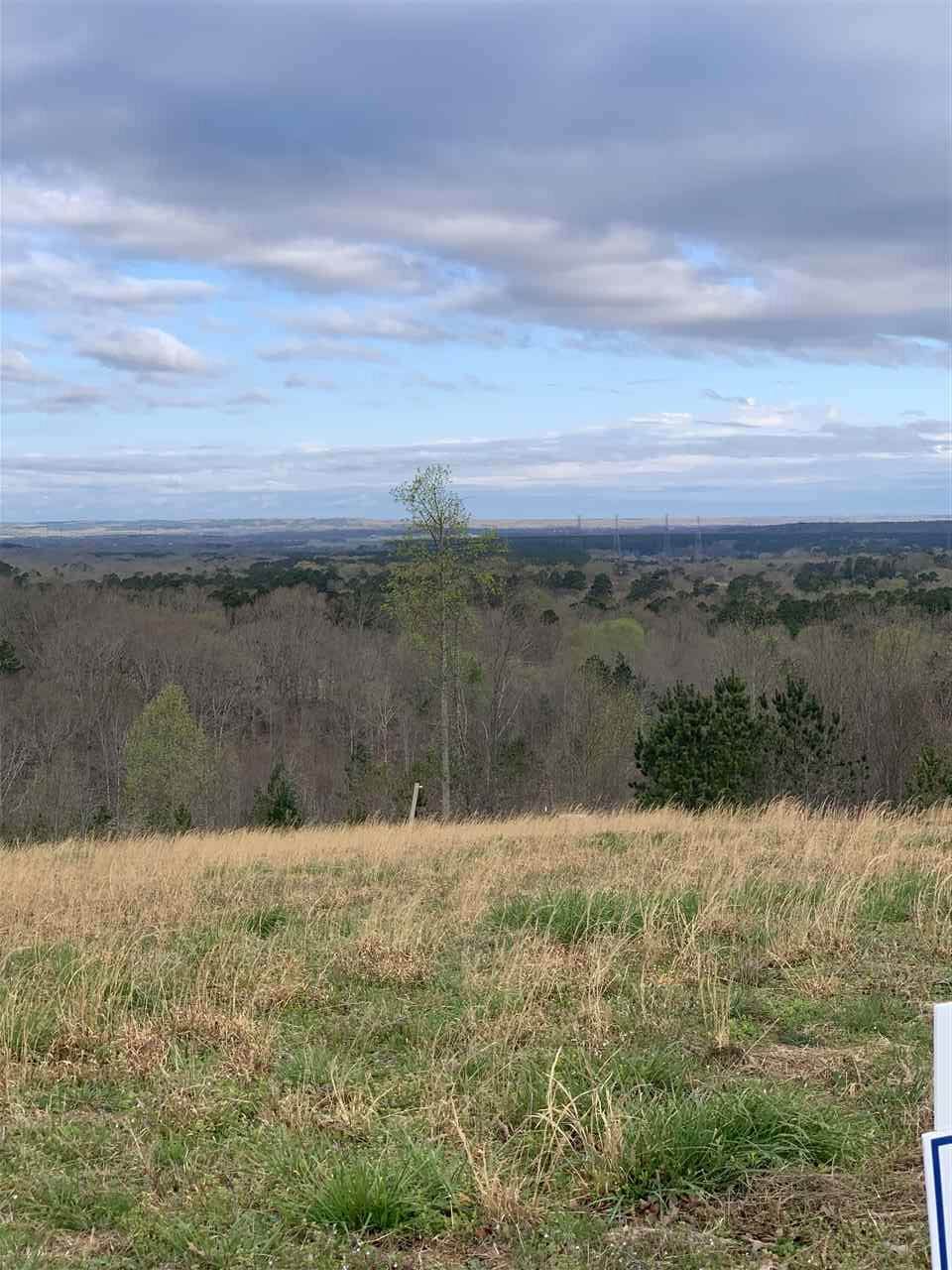 Turkey Knob Rd - Photo 1