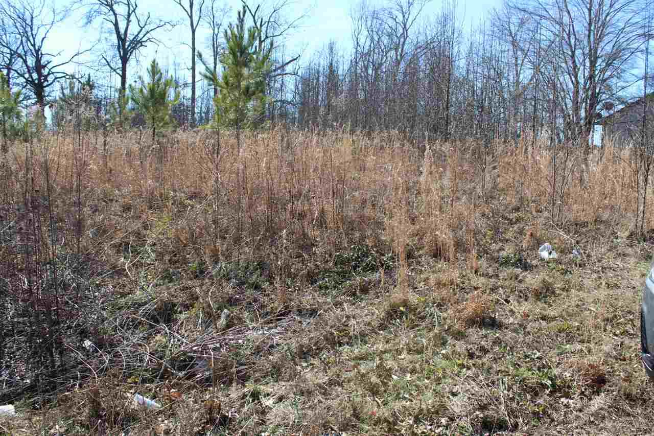 0 Pauline Dr - Photo 1