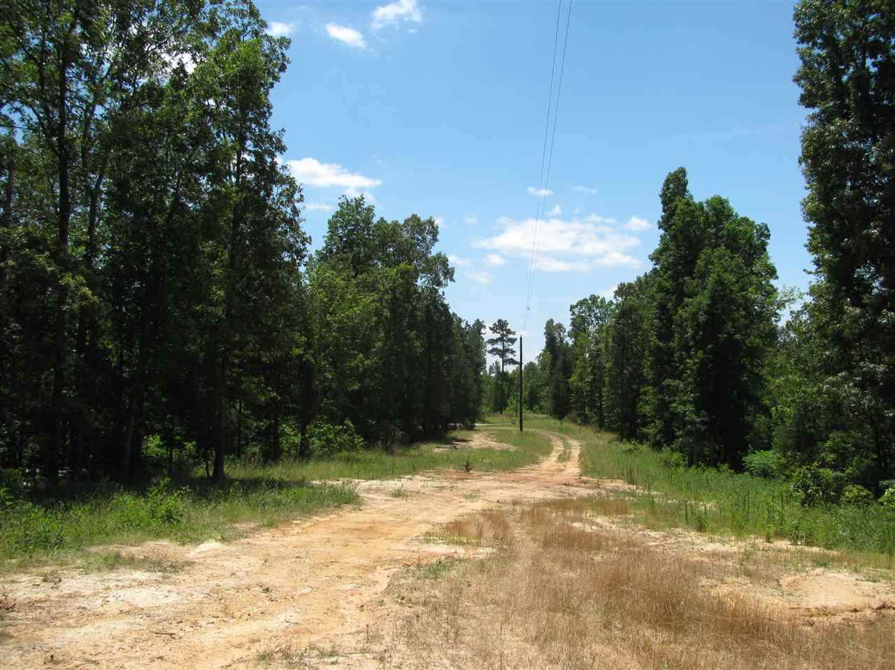 1 Hopewell Church Rd - Photo 1