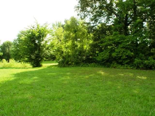 26 Catalpa Dr - Photo 1