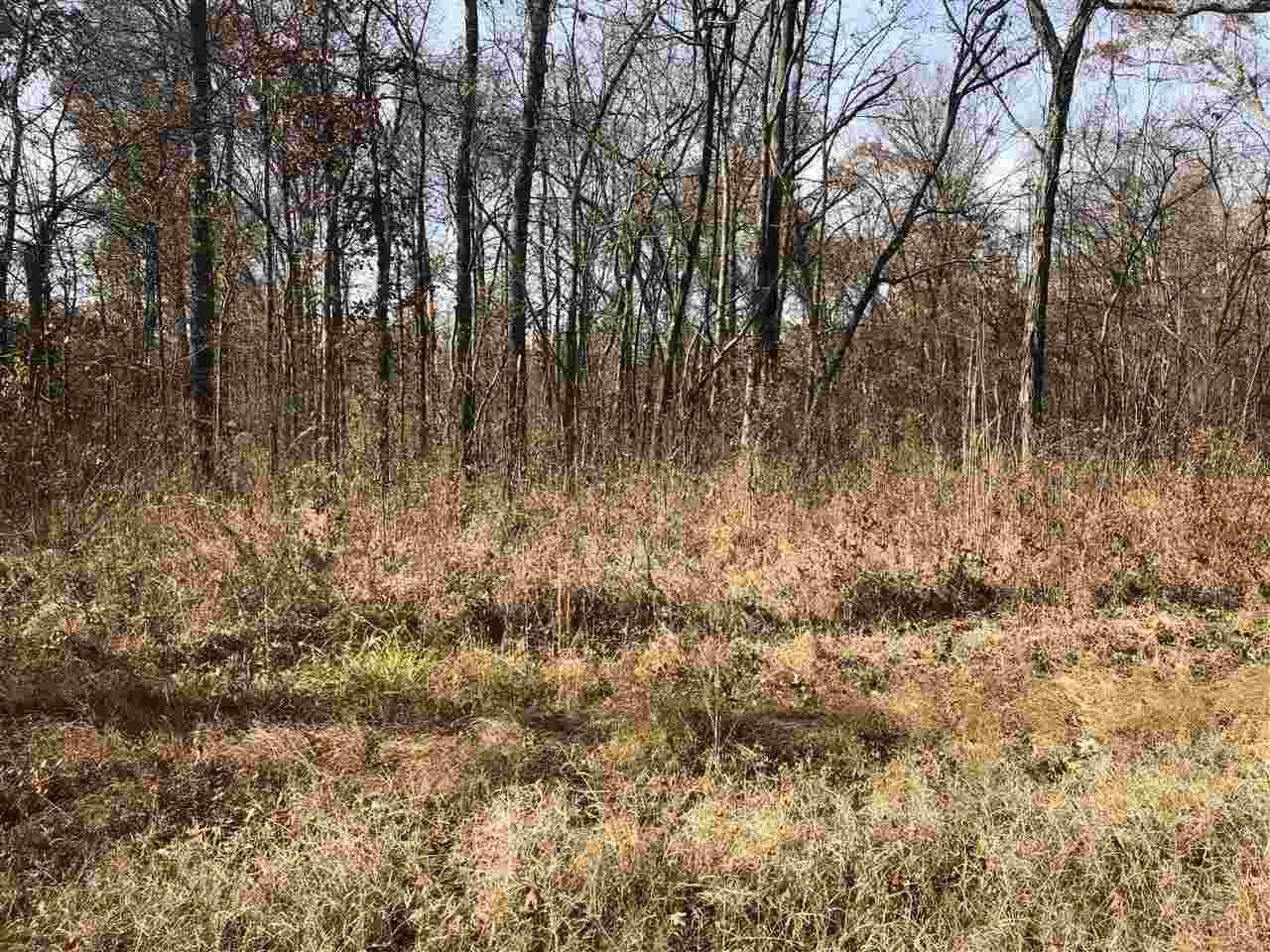 000 Hwy 193 Hwy - Photo 1