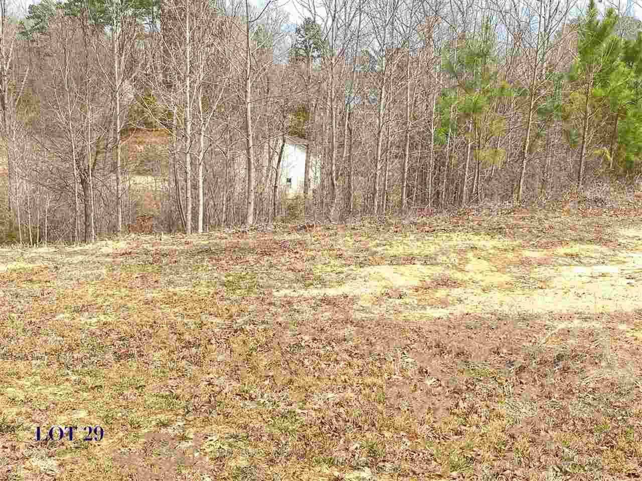 29 Joye Ln - Photo 1