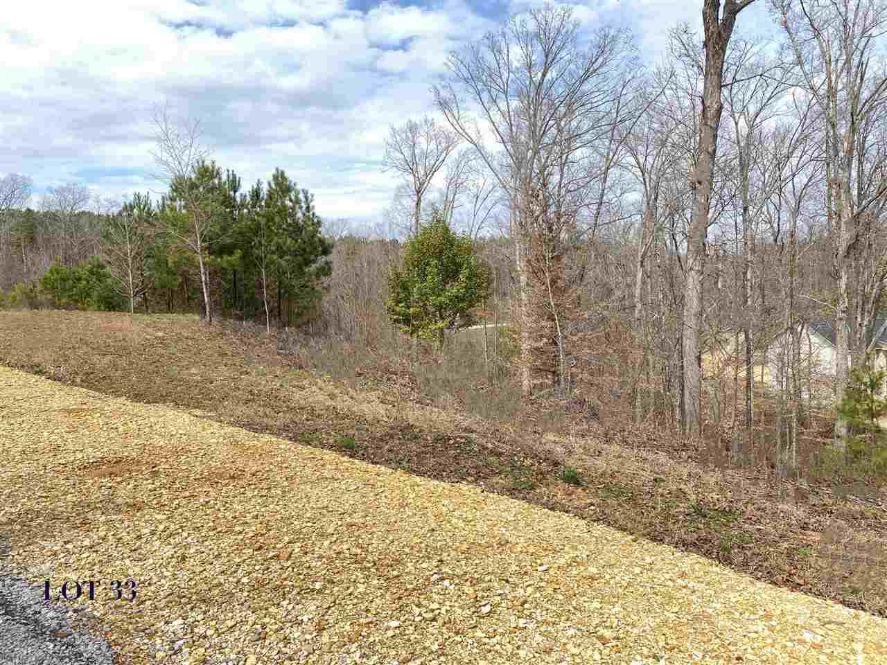 33 Joye Ln - Photo 1