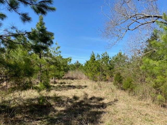 Fortune Rd - Photo 1