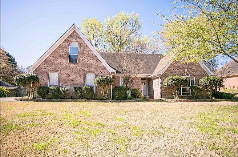 6165 Dana Cheryl Ln - Photo 1