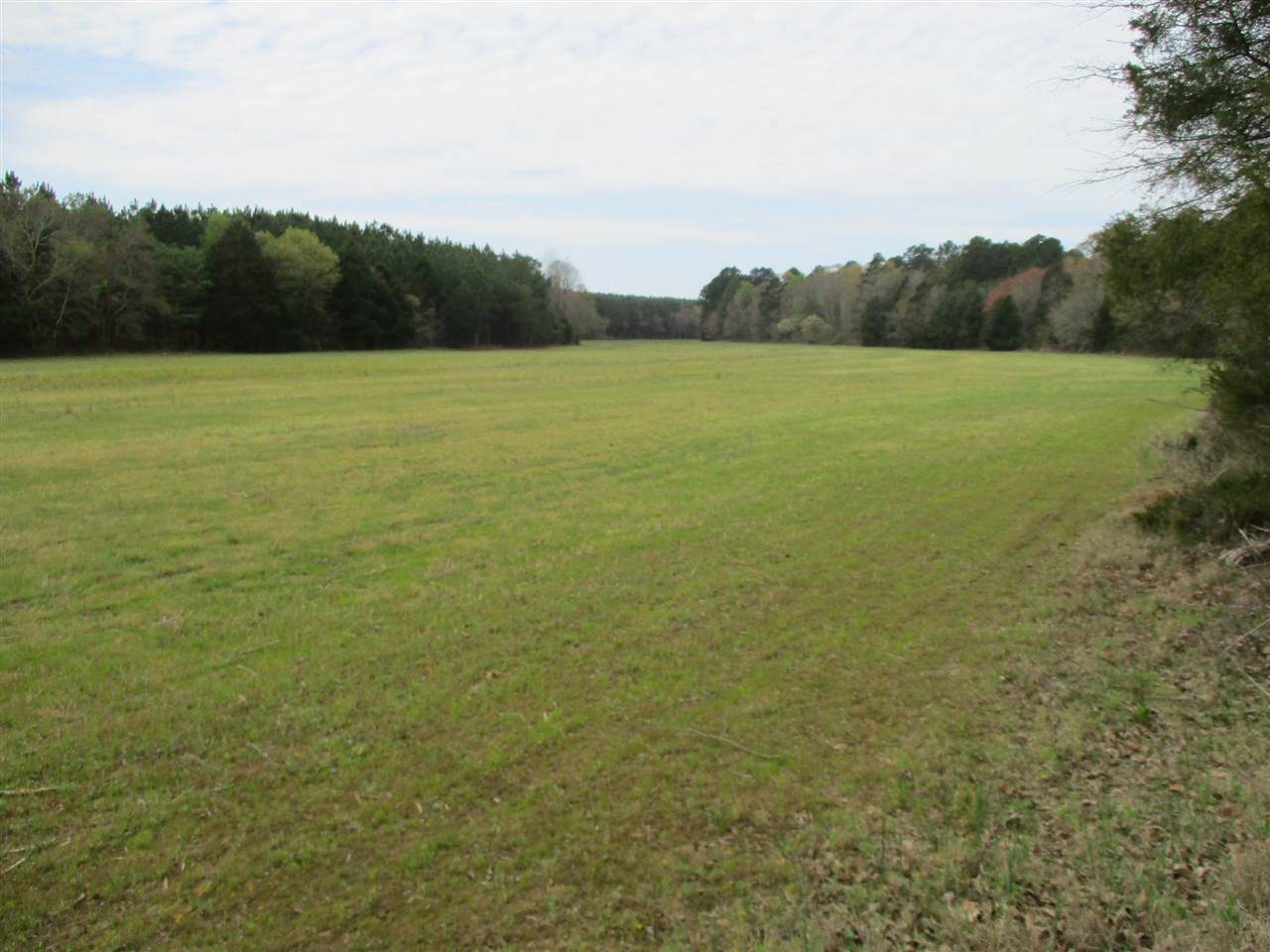 3202 Ed Barham Rd - Photo 1