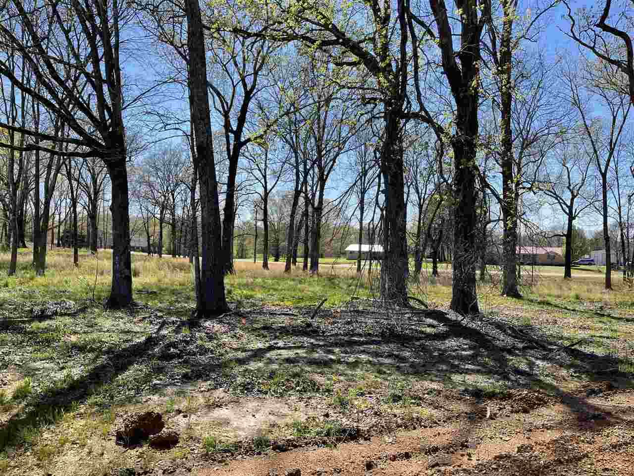 7130 Hwy 22 South Hwy - Photo 1