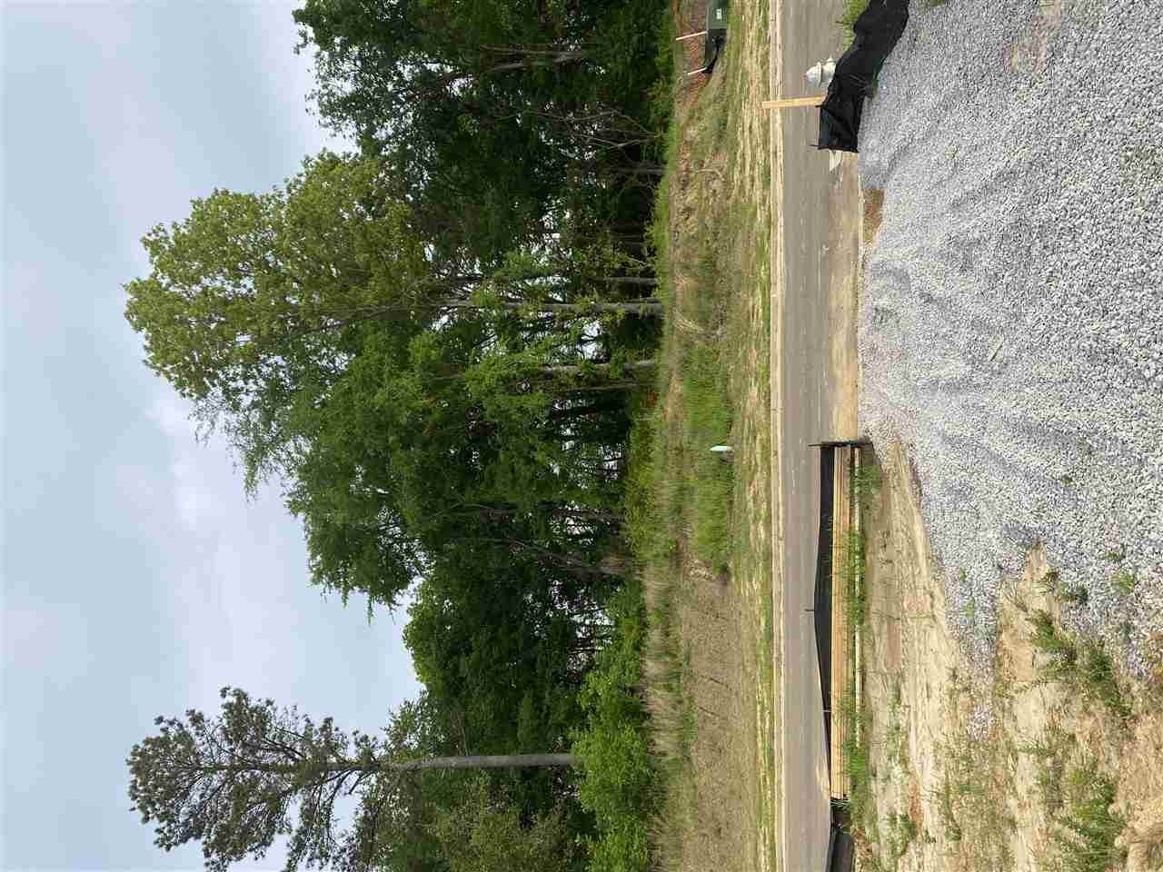 10312 Gray Heron Ln - Photo 1