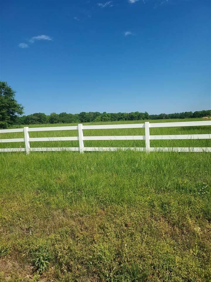 3300 Clay Pond Dr - Photo 1