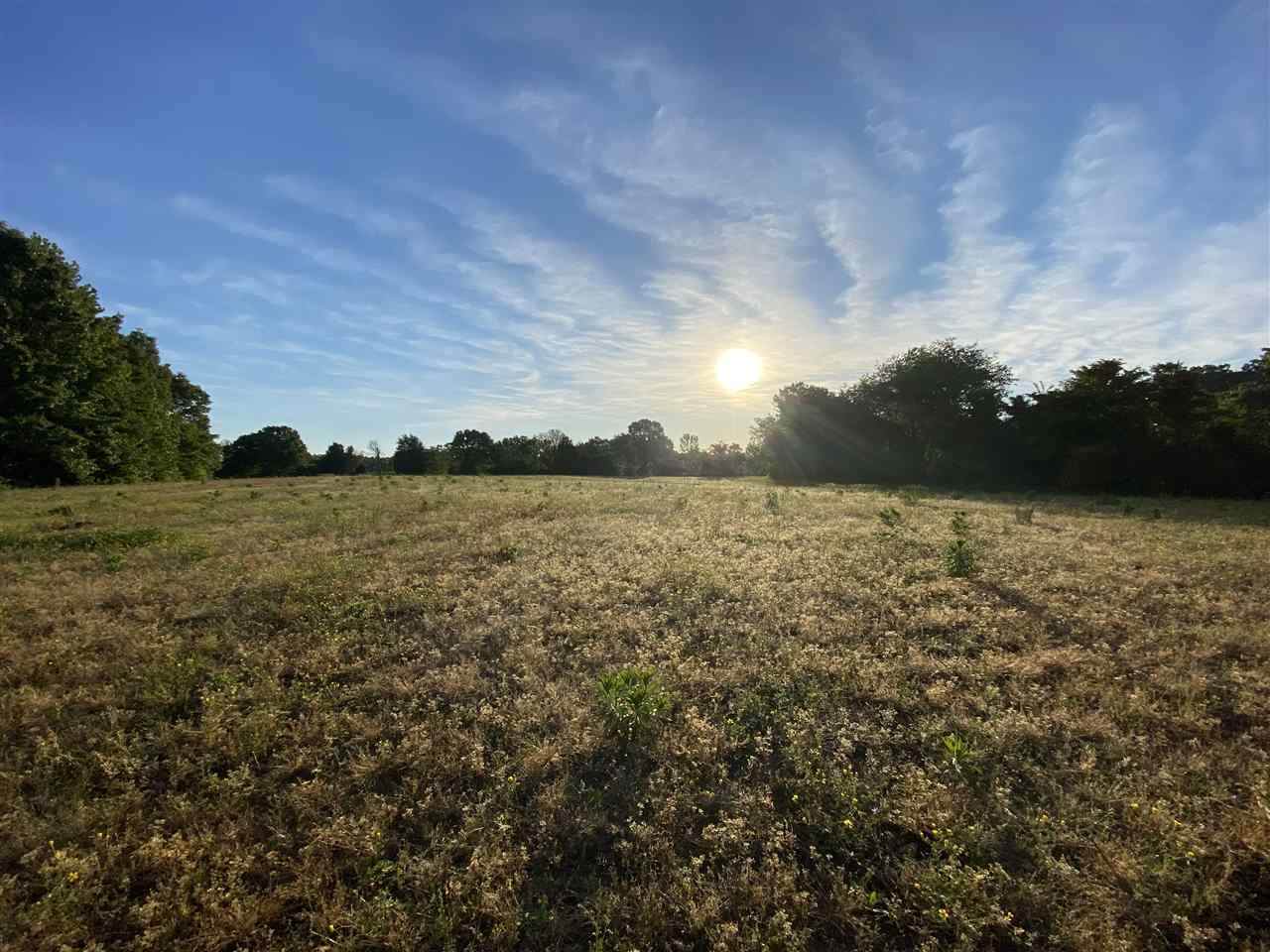 Price Rd - Photo 1
