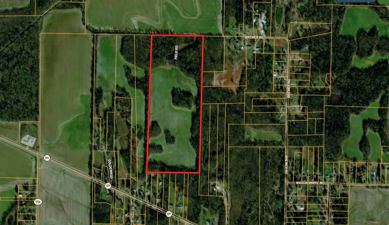 0 Brewer Rd. Rd - Photo 1