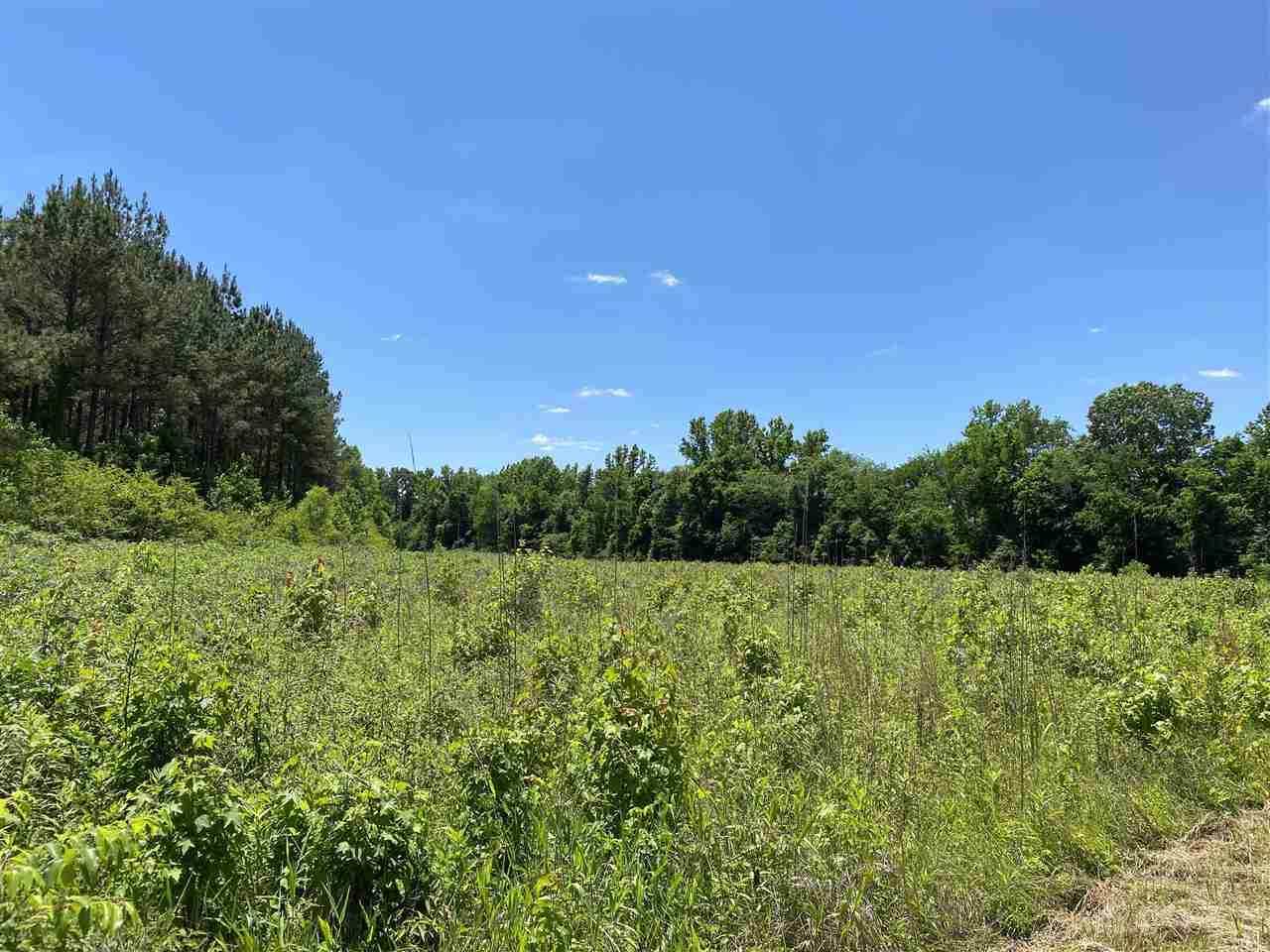 0 69 Hwy - Photo 1