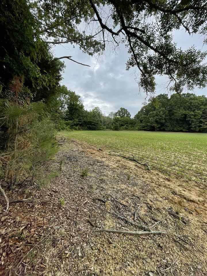 57 Hwy - Photo 1