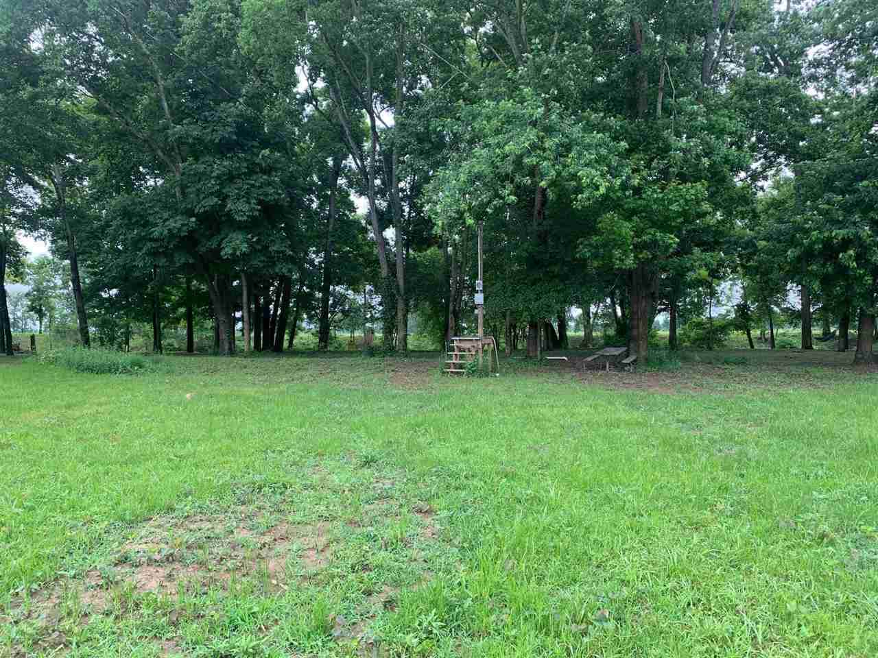 111 Teal Ln - Photo 1