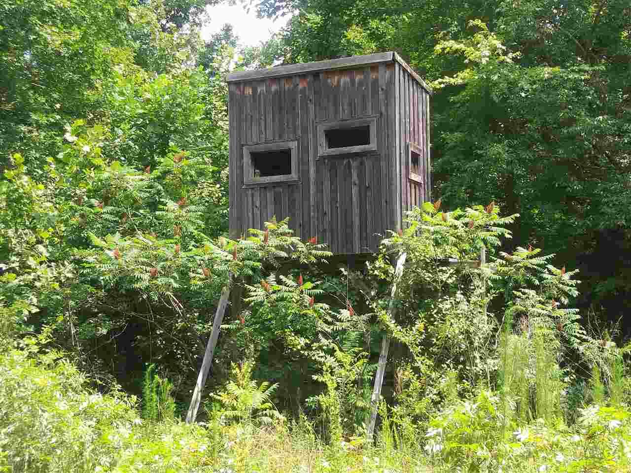 00 Burnt Church Rd - Photo 1