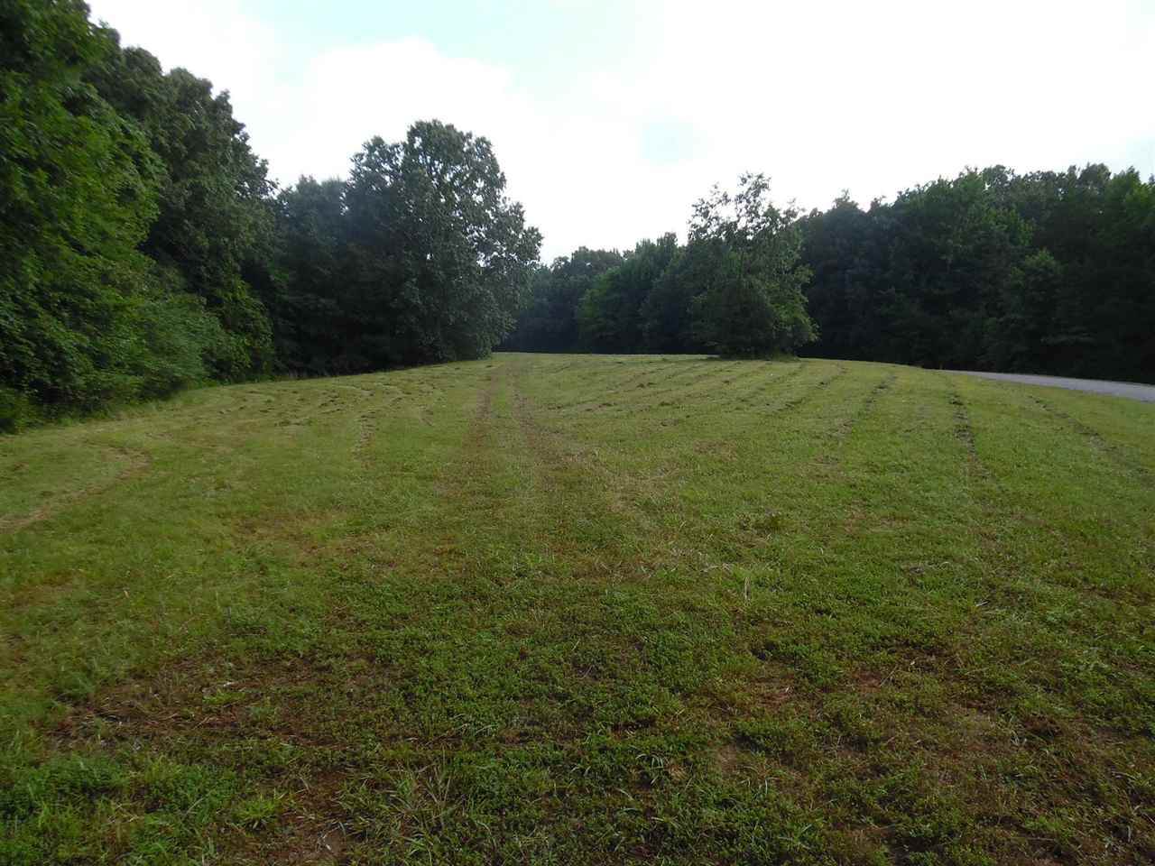 Raymond Mcanally Rd - Photo 1