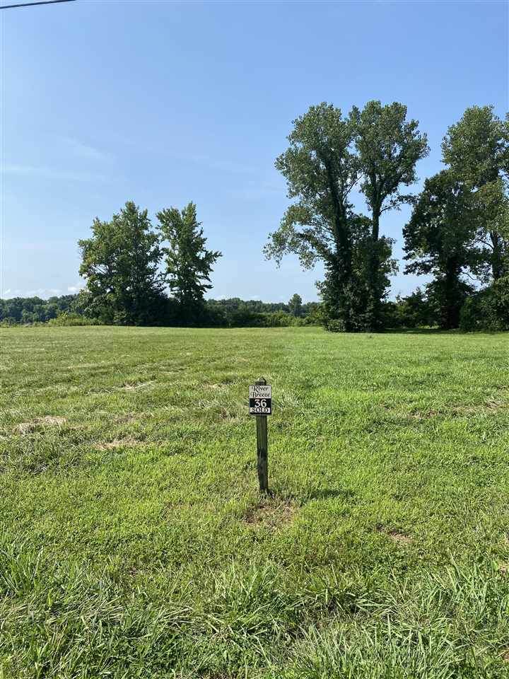 LOT 36 Catfish Ln - Photo 1