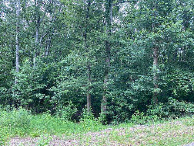 LOT 10-11 Driftwood Rd - Photo 1