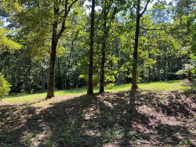 LOT 40 Riverdale Rd - Photo 1