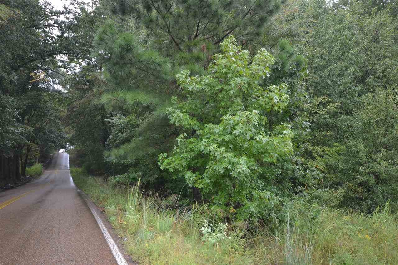 5521 Swinnea Rd - Photo 1
