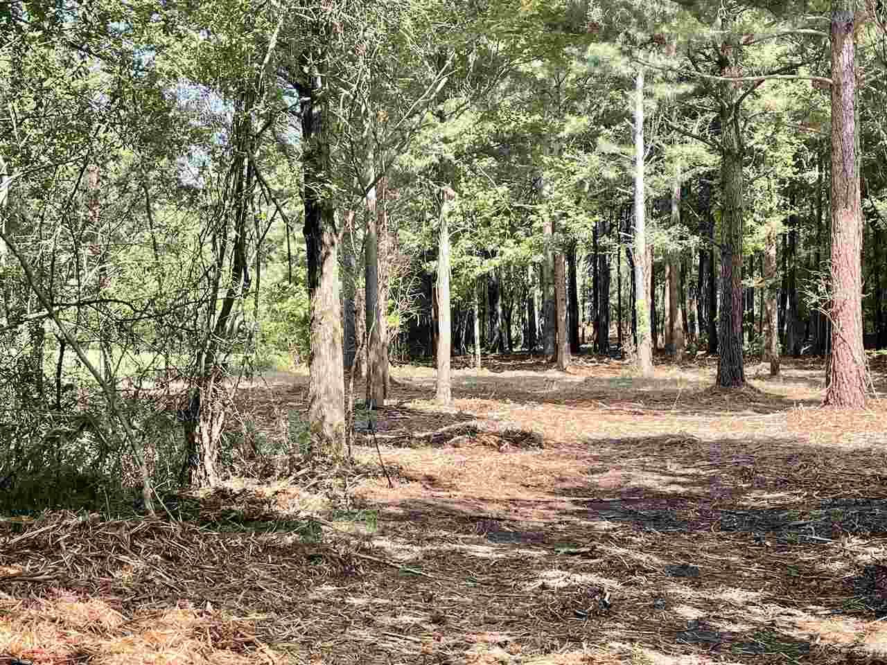Howard Ln - Photo 1