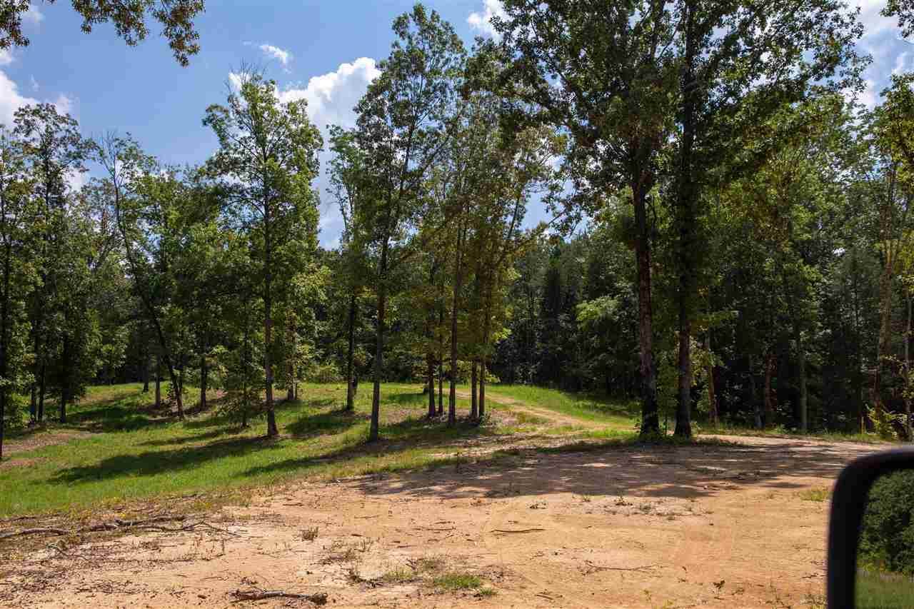 14765 Highway 196 Hwy - Photo 1