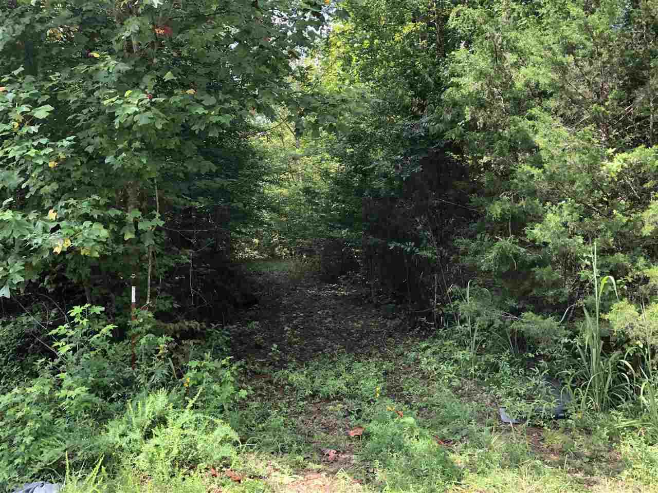 00 Mt Comfort Rd - Photo 1