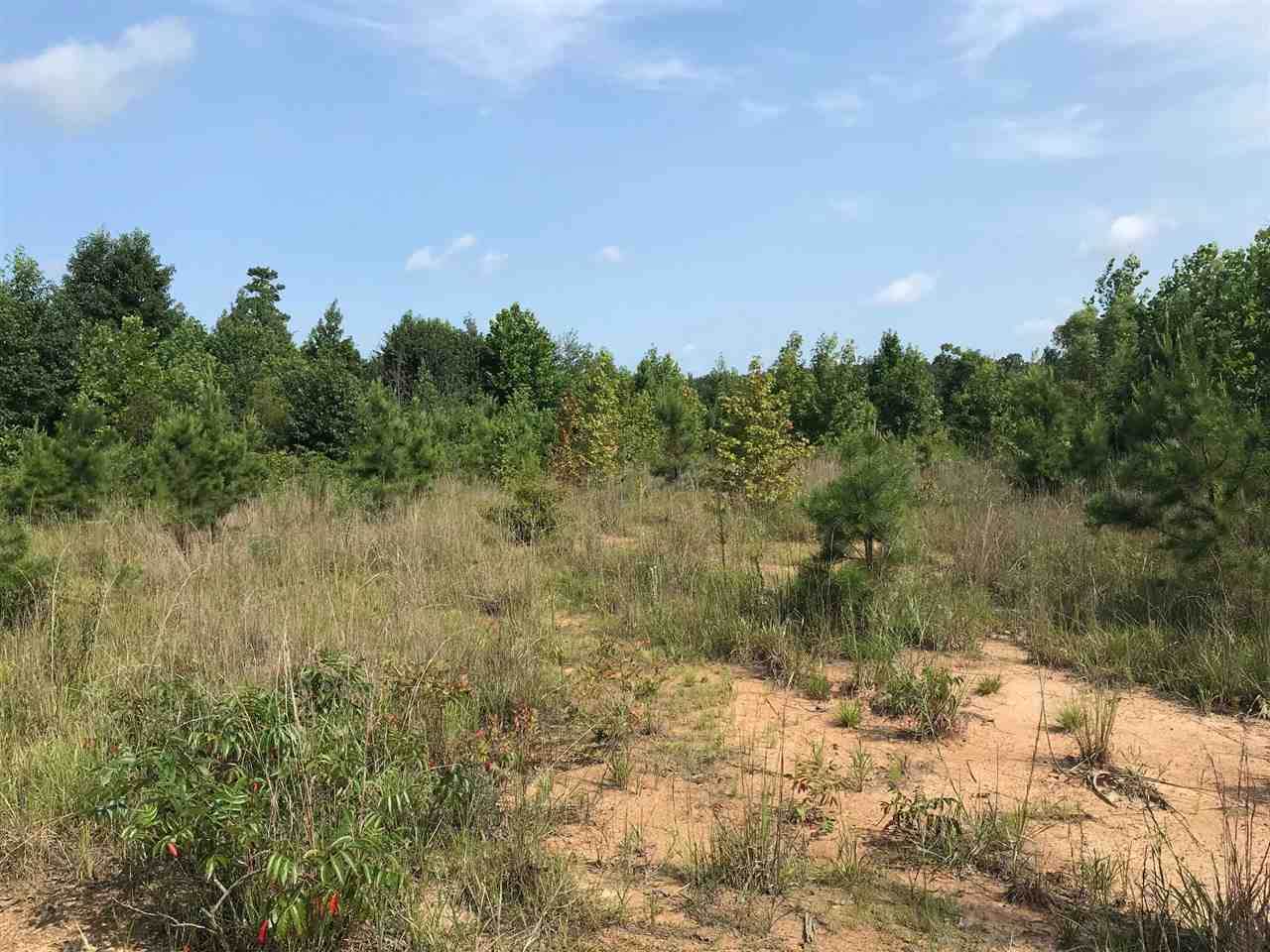 0 Bud Long Rd - Photo 1