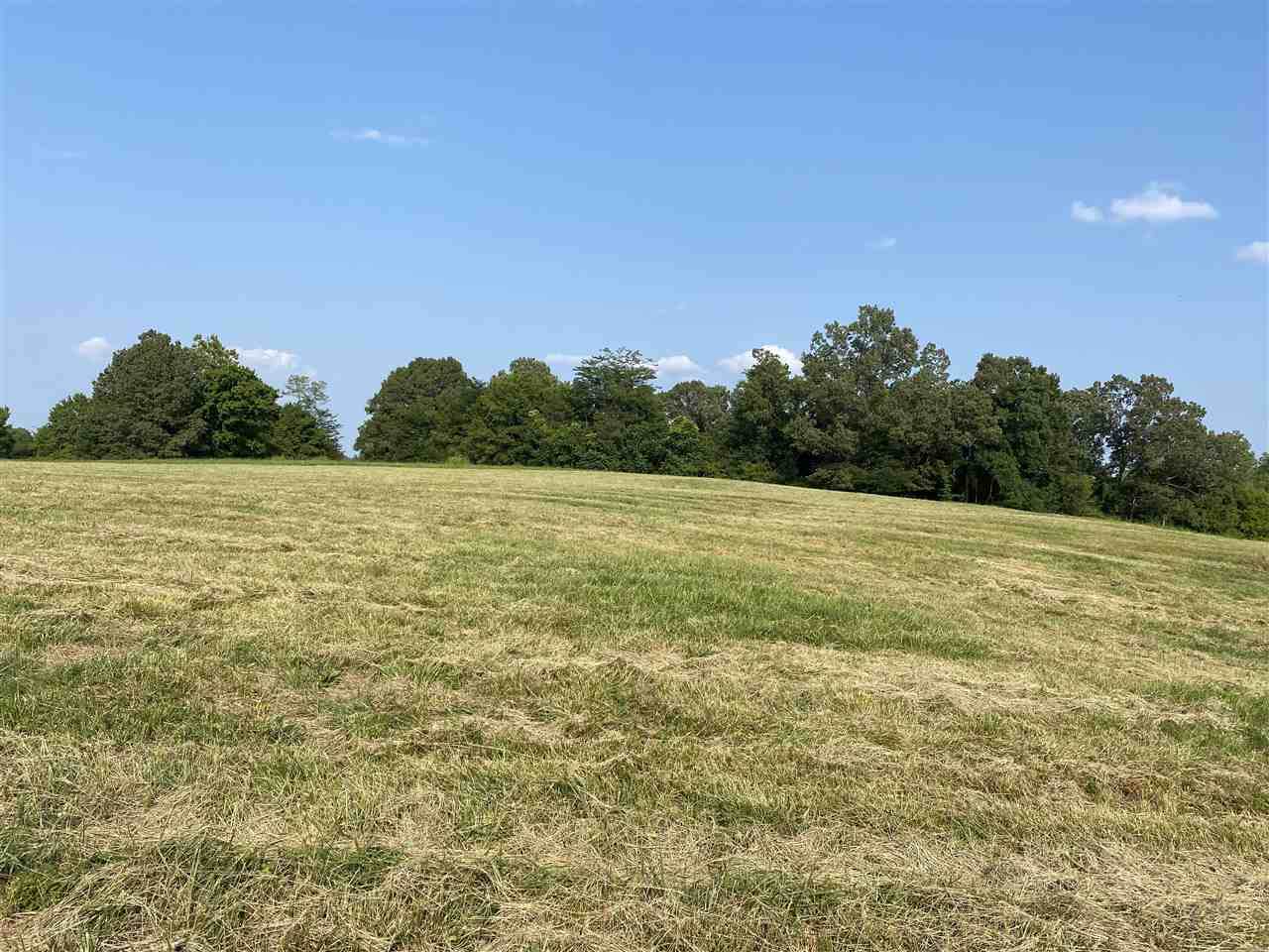 2325 Tomlin Rd - Photo 1