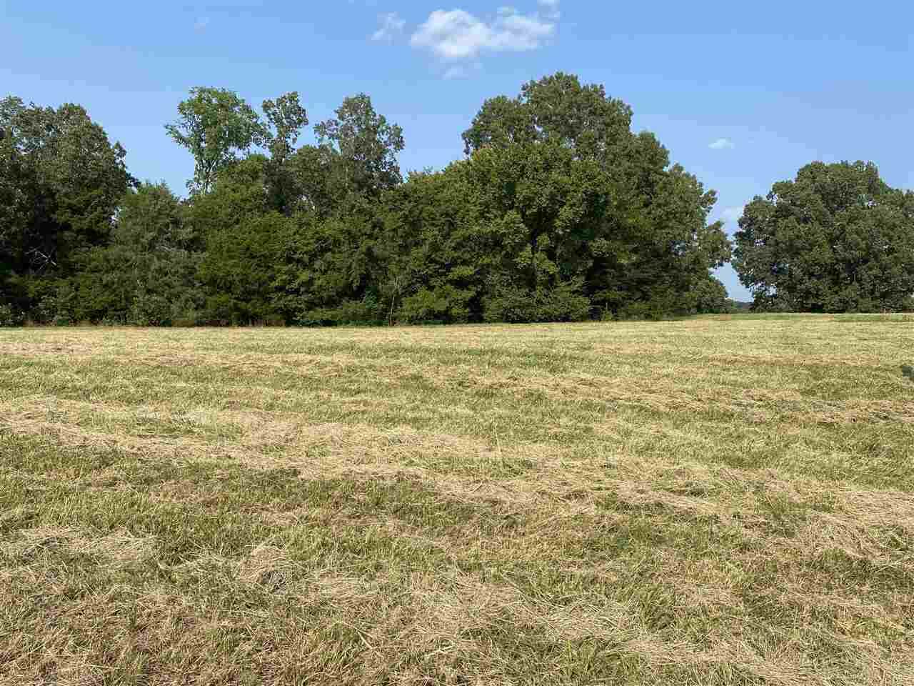 2495 Tomlin Rd - Photo 1