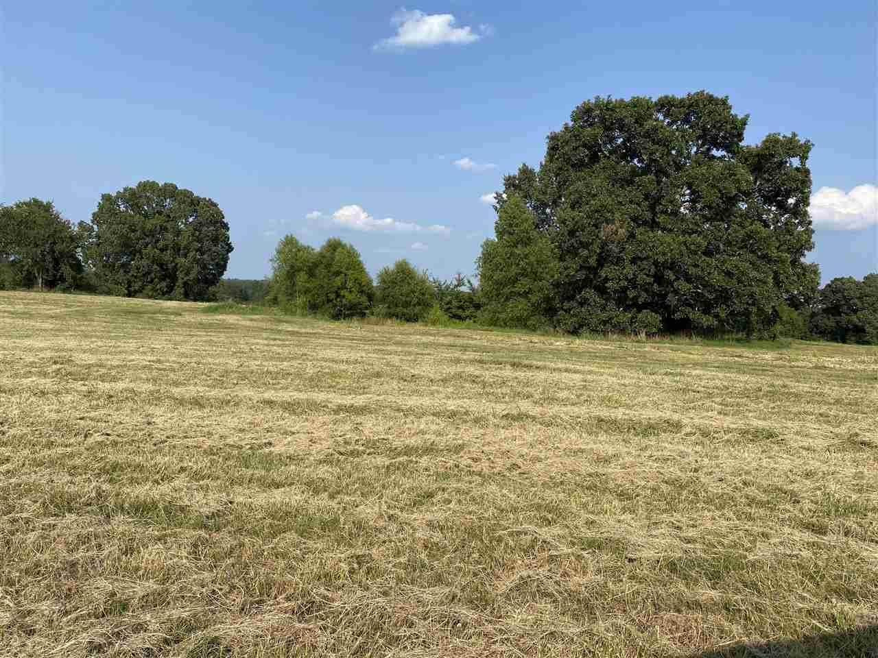 2615 Tomlin Rd - Photo 1